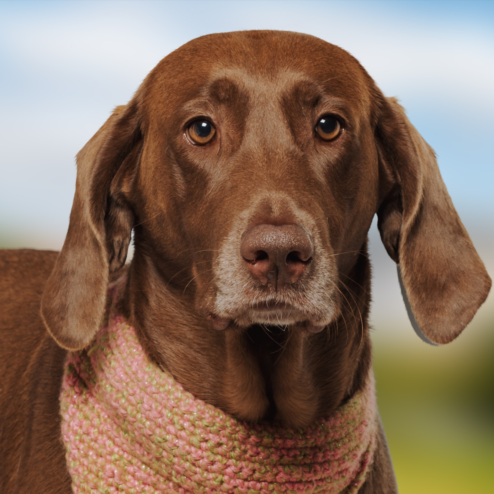 Frieda